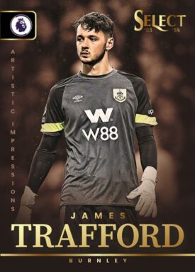 2023-24 PANINI Premier League Soccer Cards - Artistic Impression Insert James Trafford