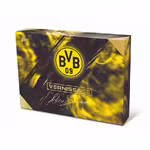 2023-24 TOPPS Vernissage Borussia Dortmund Soccer Cards - 2023 24 topps vernissage borussia dortmund soccer cards box